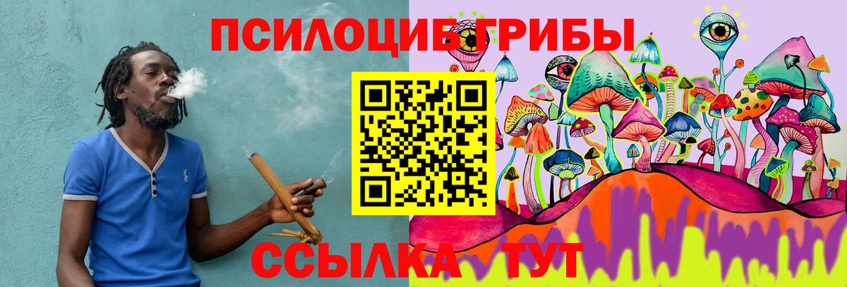 Галлюциногенные грибы Psilocybe  Псилоцибиновые грибы GOLDEN TEACHER  Вход с VPN  Россия 