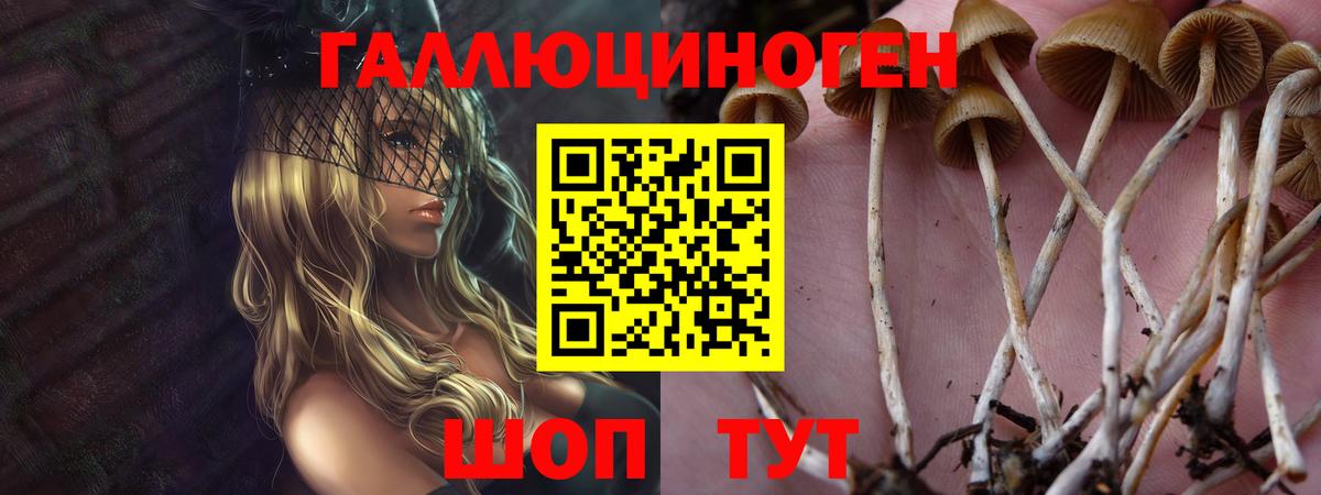 Псилоцибиновые грибы мухоморы Россия